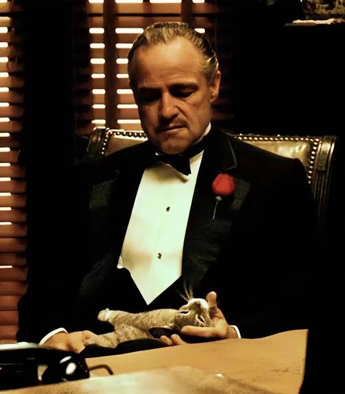 台湾娱乐圈教父_教父圈娱乐台湾女演员_教父娱乐是哪个公司的