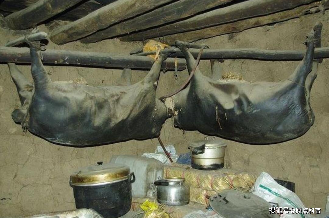 云南昆虫宴特色菜_黑暗料理排行榜前十名网红,_中国黑暗料理盘点